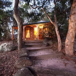  Lodge Honeysuckle Australia